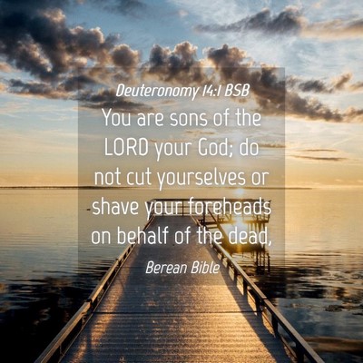 Picture 04 - Deuteronomy 14:1 BSB - You are sons of the LORD your God; do not cut - Bible Verse Picture