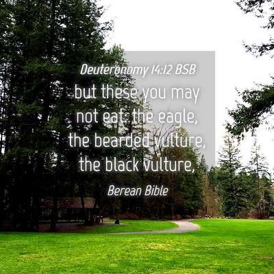 Picture 04 - Deuteronomy 14:12 BSB - but these you may not eat: the eagle, the bearded - Bible Verse Picture
