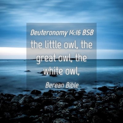 Picture 04 - Deuteronomy 14:16 BSB - the little owl, the great owl, the white - Bible Verse Picture