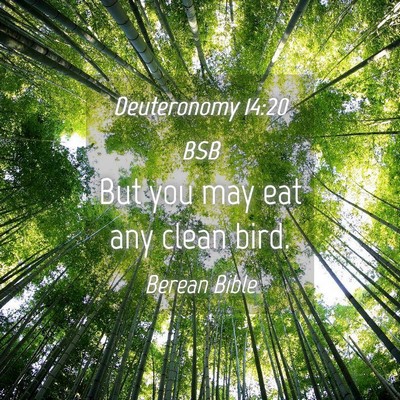Picture 04 - Deuteronomy 14:20 BSB - But you may eat any clean - Bible Verse Picture