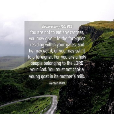 Picture 04 - Deuteronomy 14:21 BSB - You are not to eat any carcass; you may give it - Bible Verse Picture