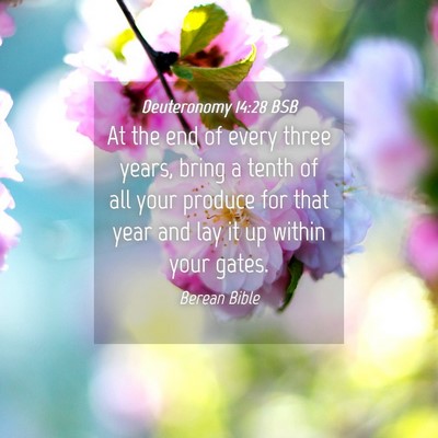 Picture 04 - Deuteronomy 14:28 BSB - At the end of every three years, bring a tenth of - Bible Verse Picture