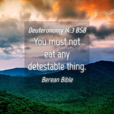 Picture 04 - Deuteronomy 14:3 BSB - You must not eat any detestable - Bible Verse Picture