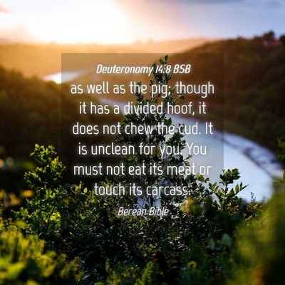 Picture 04 - Deuteronomy 14:8 BSB - as well as the pig; though it has a divided hoof, - Bible Verse Picture