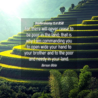 Picture 04 - Deuteronomy 15:11 BSB - For there will never cease to be poor in the - Bible Verse Picture