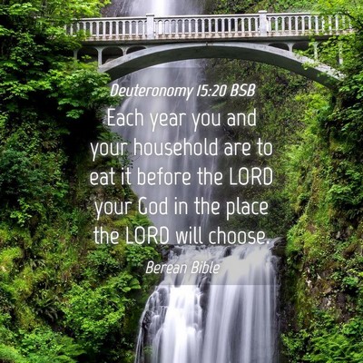 Picture 04 - Deuteronomy 15:20 BSB - Each year you and your household are to eat it - Bible Verse Picture