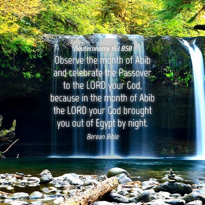 Picture 04 - Deuteronomy 16:1 BSB - Observe the month of Abib and celebrate the - Bible Verse Picture