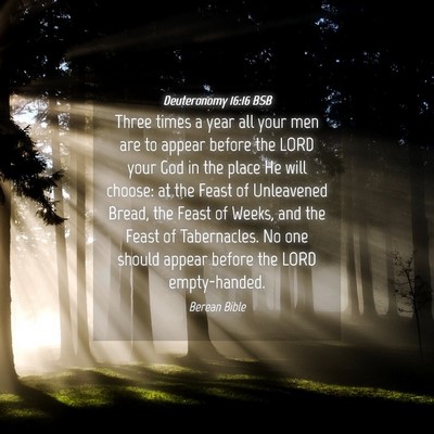Picture 04 - Deuteronomy 16:16 BSB - Three times a year all your men are to appear - Bible Verse Picture