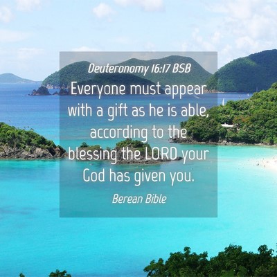 Picture 04 - Deuteronomy 16:17 BSB - Everyone must appear with a gift as he is able, - Bible Verse Picture