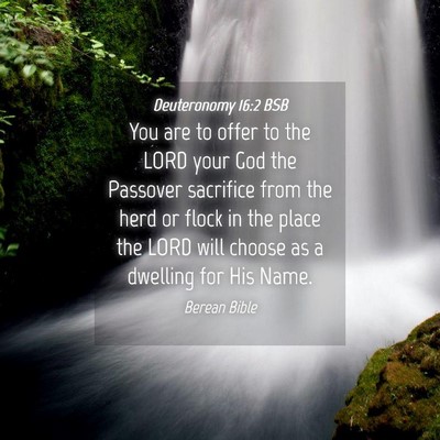 Picture 04 - Deuteronomy 16:2 BSB - You are to offer to the LORD your God the - Bible Verse Picture