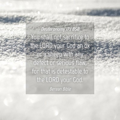 Picture 04 - Deuteronomy 17:1 BSB - You shall not sacrifice to the LORD your God an - Bible Verse Picture