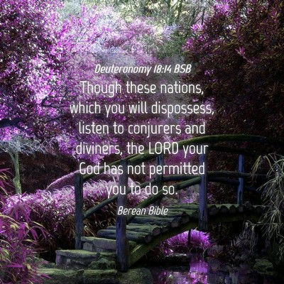 Picture 04 - Deuteronomy 18:14 BSB - Though these nations, which you will dispossess, - Bible Verse Picture