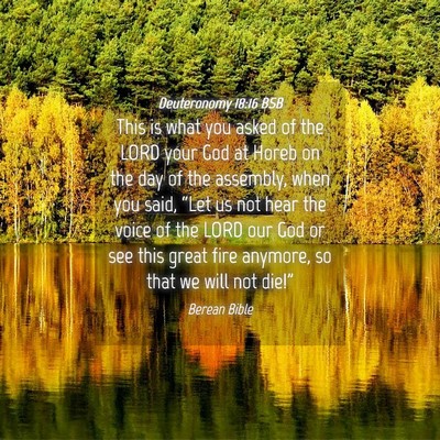 Picture 04 - Deuteronomy 18:16 BSB - This is what you asked of the LORD your God at - Bible Verse Picture