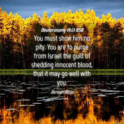Picture 04 - Deuteronomy 19:13 BSB - You must show him no pity. You are to purge from - Bible Verse Picture