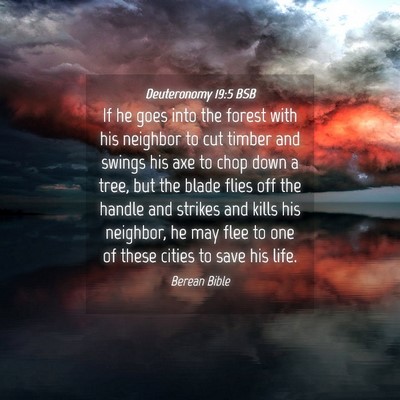 Picture 04 - Deuteronomy 19:5 BSB - If he goes into the forest with his neighbor to - Bible Verse Picture