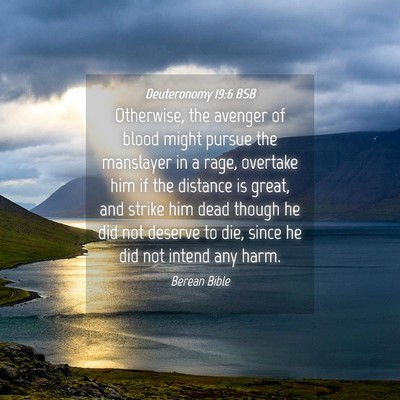 Picture 04 - Deuteronomy 19:6 BSB - Otherwise, the avenger of blood might pursue the - Bible Verse Picture
