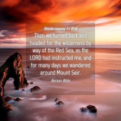 Picture 04 - Deuteronomy 2:1 BSB - Then we turned back and headed for the wilderness - Bible Verse Picture