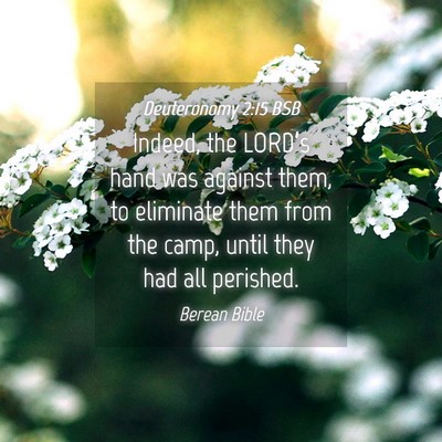 Picture 04 - Deuteronomy 2:15 BSB - Indeed, the LORD’s hand was against them, to - Bible Verse Picture