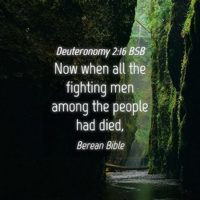 Picture 04 - Deuteronomy 2:16 BSB - Now when all the fighting men among the people - Bible Verse Picture