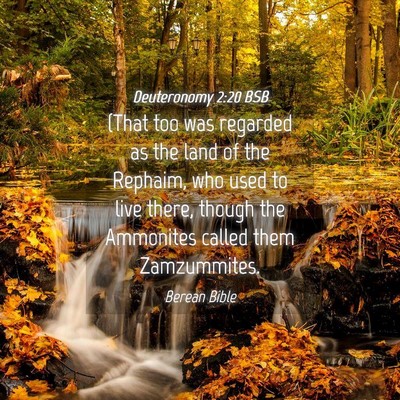 Picture 04 - Deuteronomy 2:20 BSB - (That too was regarded as the land of the - Bible Verse Picture