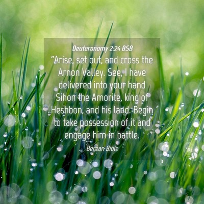 Picture 04 - Deuteronomy 2:24 BSB - “Arise, set out, and cross the Arnon Valley. - Bible Verse Picture