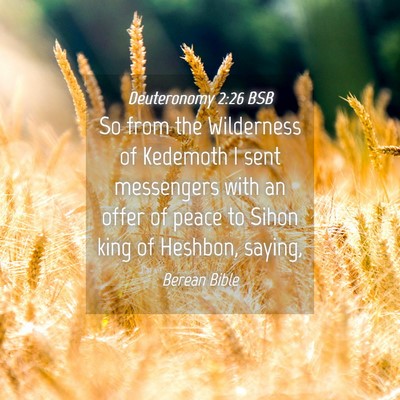 Picture 04 - Deuteronomy 2:26 BSB - So from the Wilderness of Kedemoth I sent - Bible Verse Picture