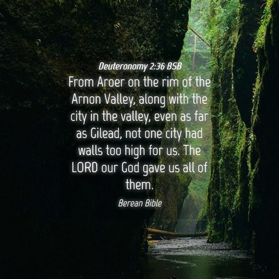 Picture 04 - Deuteronomy 2:36 BSB - From Aroer on the rim of the Arnon Valley, along - Bible Verse Picture
