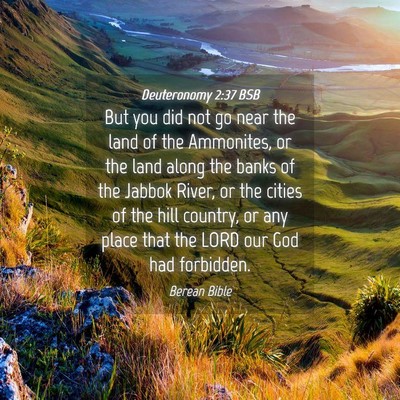 Picture 04 - Deuteronomy 2:37 BSB - But you did not go near the land of the - Bible Verse Picture