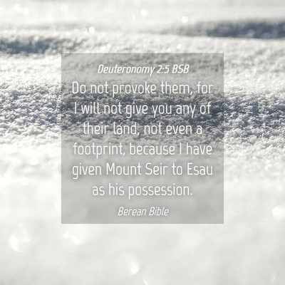 Picture 04 - Deuteronomy 2:5 BSB - Do not provoke them, for I will not give you any - Bible Verse Picture