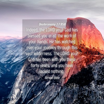 Picture 04 - Deuteronomy 2:7 BSB - Indeed, the LORD your God has blessed you in all - Bible Verse Picture