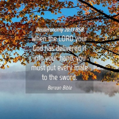 Picture 04 - Deuteronomy 20:13 BSB - When the LORD your God has delivered it into your - Bible Verse Picture