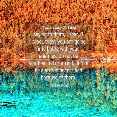 Picture 04 - Deuteronomy 20:3 BSB - saying to them, “Hear, O Israel, today you are - Bible Verse Picture