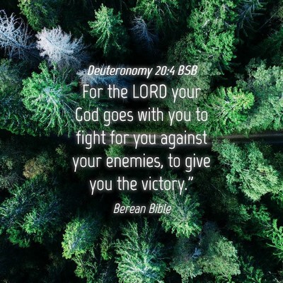 Picture 04 - Deuteronomy 20:4 BSB - For the LORD your God goes with you to fight for - Bible Verse Picture