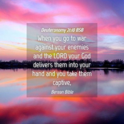 Picture 04 - Deuteronomy 21:10 BSB - When you go to war against your enemies and the - Bible Verse Picture