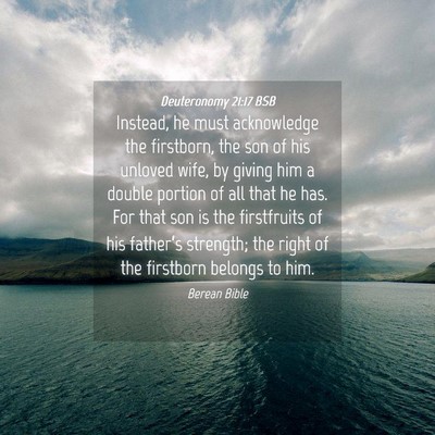 Picture 04 - Deuteronomy 21:17 BSB - Instead, he must acknowledge the firstborn, the - Bible Verse Picture