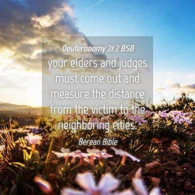 Picture 04 - Deuteronomy 21:2 BSB - your elders and judges must come out and measure - Bible Verse Picture