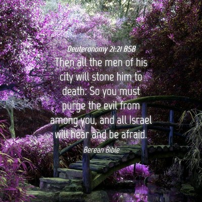 Picture 04 - Deuteronomy 21:21 BSB - Then all the men of his city will stone him to - Bible Verse Picture