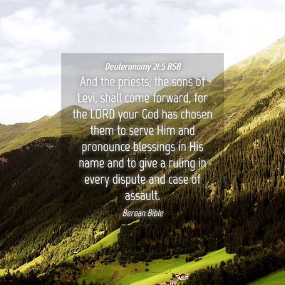 Picture 04 - Deuteronomy 21:5 BSB - And the priests, the sons of Levi, shall come - Bible Verse Picture