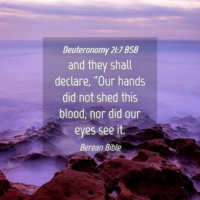 Picture 04 - Deuteronomy 21:7 BSB - and they shall declare, “Our hands did not shed - Bible Verse Picture