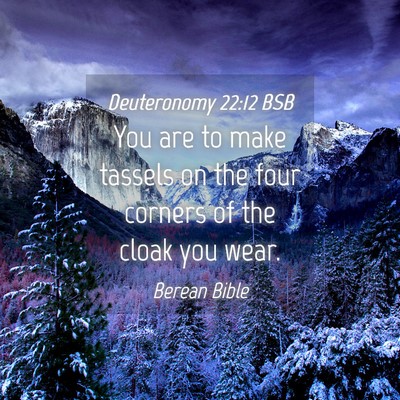 Picture 04 - Deuteronomy 22:12 BSB - You are to make tassels on the four corners of - Bible Verse Picture