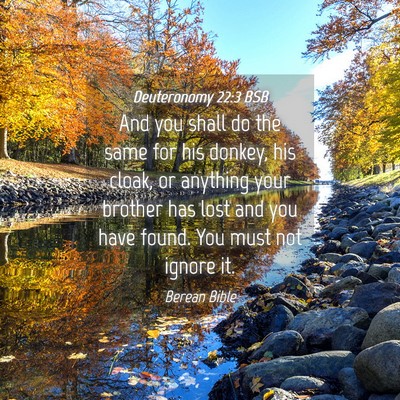 Picture 04 - Deuteronomy 22:3 BSB - And you shall do the same for his donkey, his - Bible Verse Picture