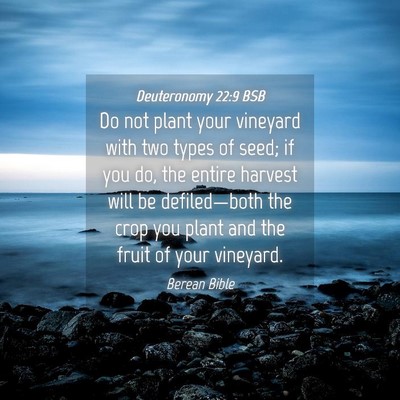 Picture 04 - Deuteronomy 22:9 BSB - Do not plant your vineyard with two types of - Bible Verse Picture