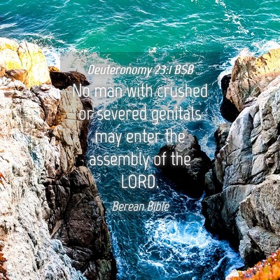 Picture 04 - Deuteronomy 23:1 BSB - No man with crushed or severed genitals may enter - Bible Verse Picture