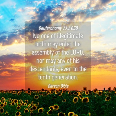 Picture 04 - Deuteronomy 23:2 BSB - No one of illegitimate birth may enter the - Bible Verse Picture