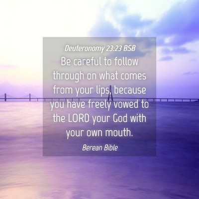 Picture 04 - Deuteronomy 23:23 BSB - Be careful to follow through on what comes from - Bible Verse Picture