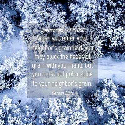 Picture 04 - Deuteronomy 23:25 BSB - When you enter your neighbor’s grainfield, you - Bible Verse Picture