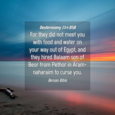 Picture 04 - Deuteronomy 23:4 BSB - For they did not meet you with food and water on - Bible Verse Picture