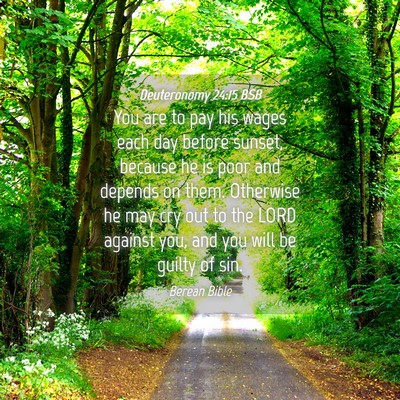 Picture 04 - Deuteronomy 24:15 BSB - You are to pay his wages each day before sunset, - Bible Verse Picture