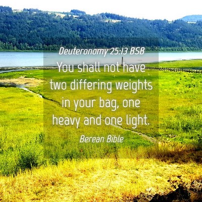 Picture 04 - Deuteronomy 25:13 BSB - You shall not have two differing weights in your - Bible Verse Picture