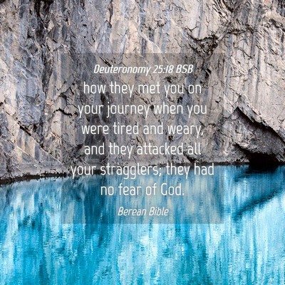 Picture 04 - Deuteronomy 25:18 BSB - how they met you on your journey when you were - Bible Verse Picture